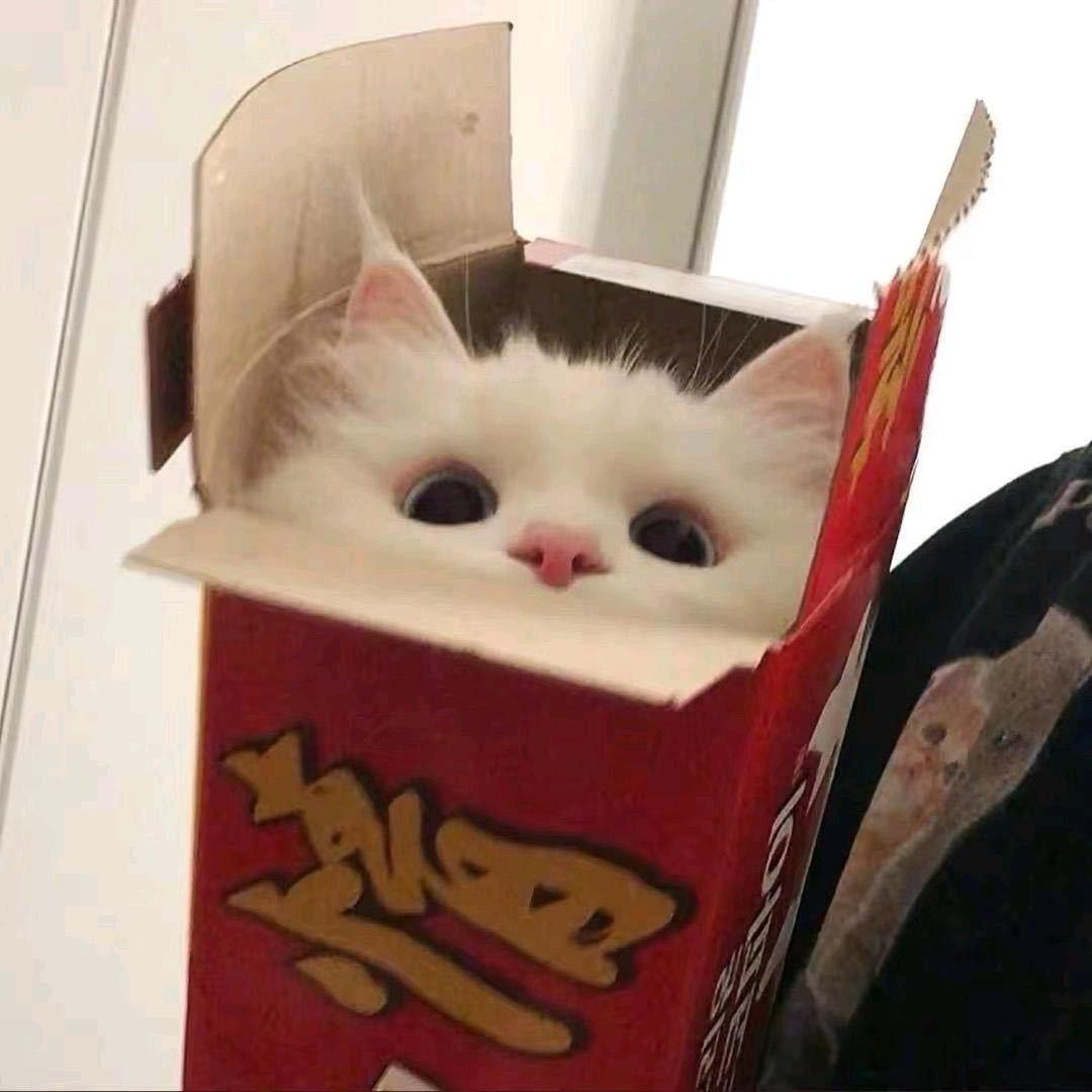 你的抑达