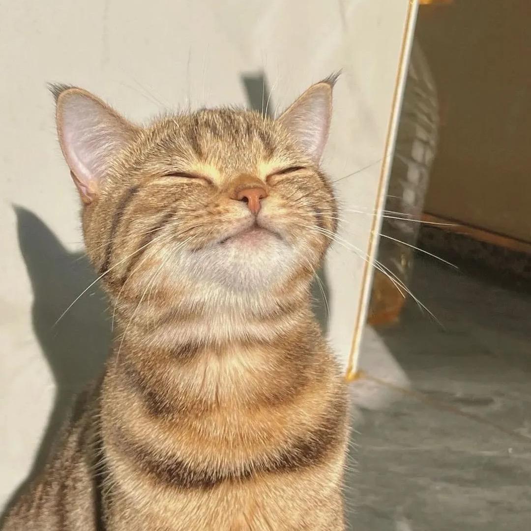 🧄蒜是独苗