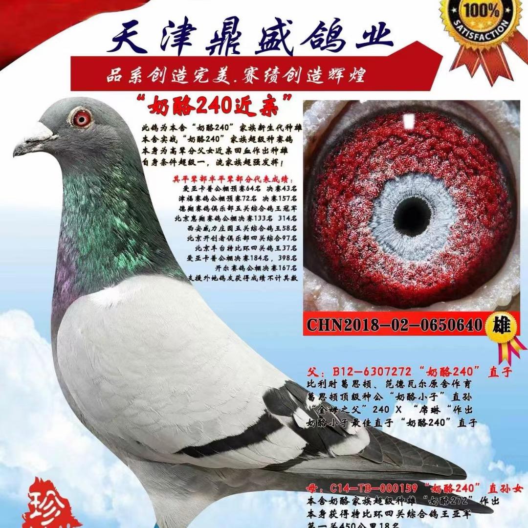 小威萌宠精选