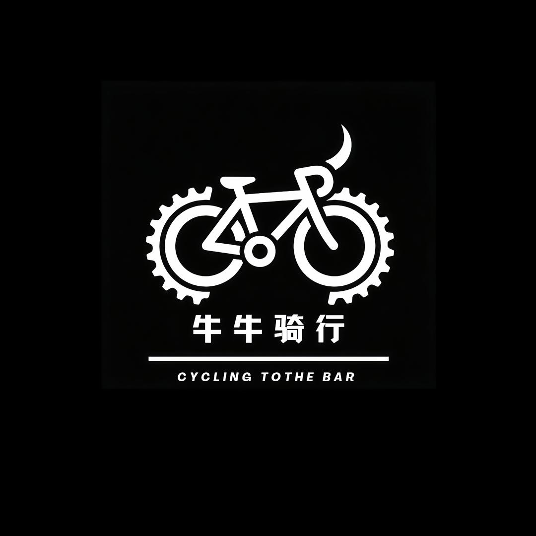 牛牛骑行碳纤维自行车吉特