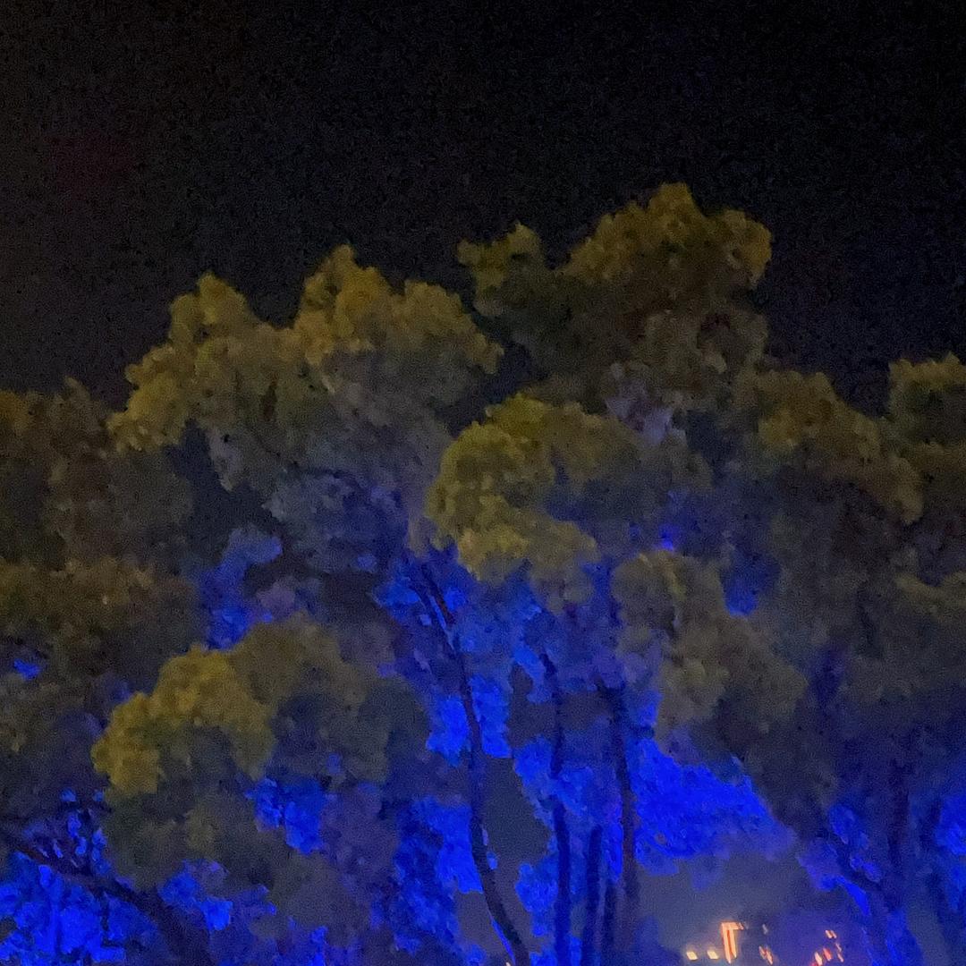 有缘人❤️在哪