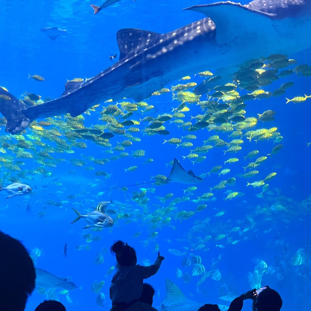 可儿麻麻做自己！