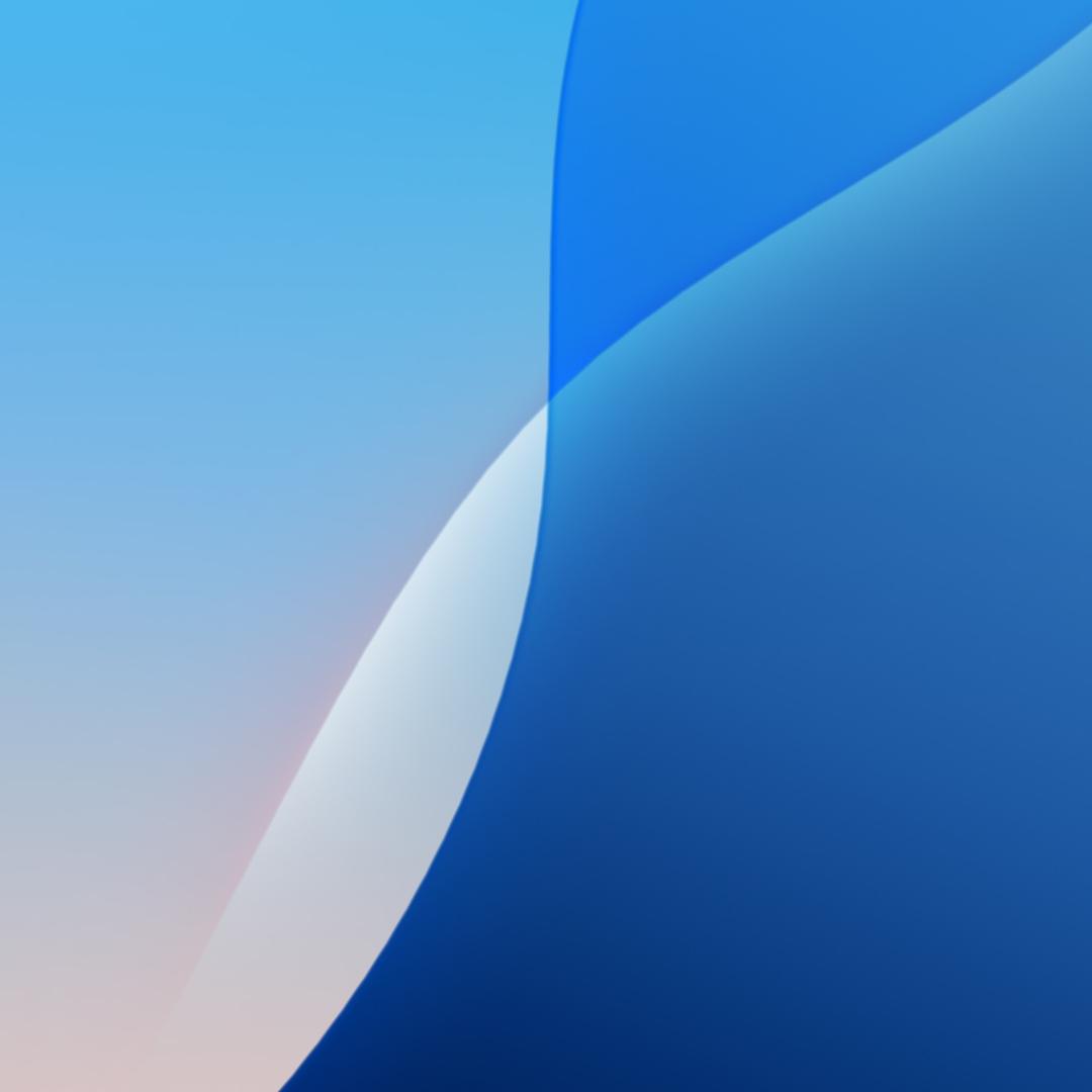 白白