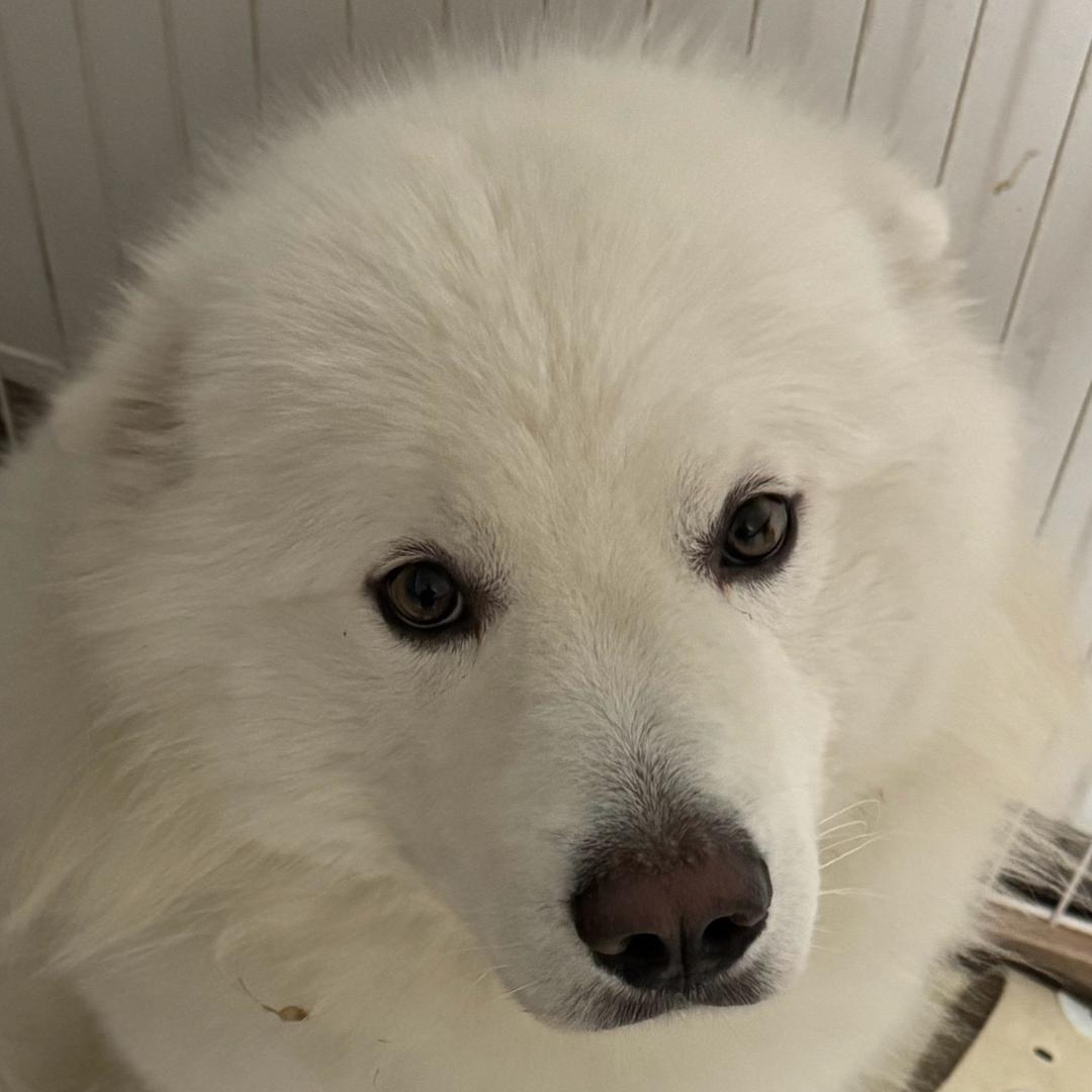 ￴￴ ￴￴潘左左耶