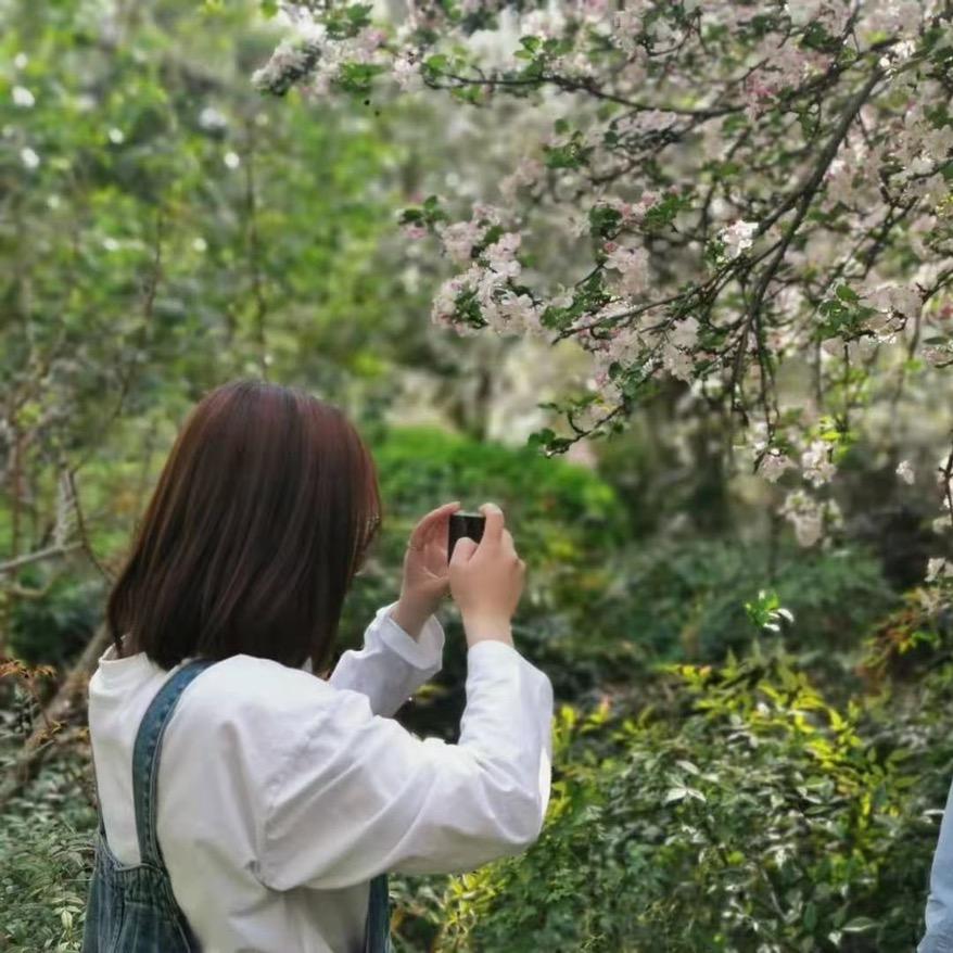 🥇想自由读研日记-减脂版