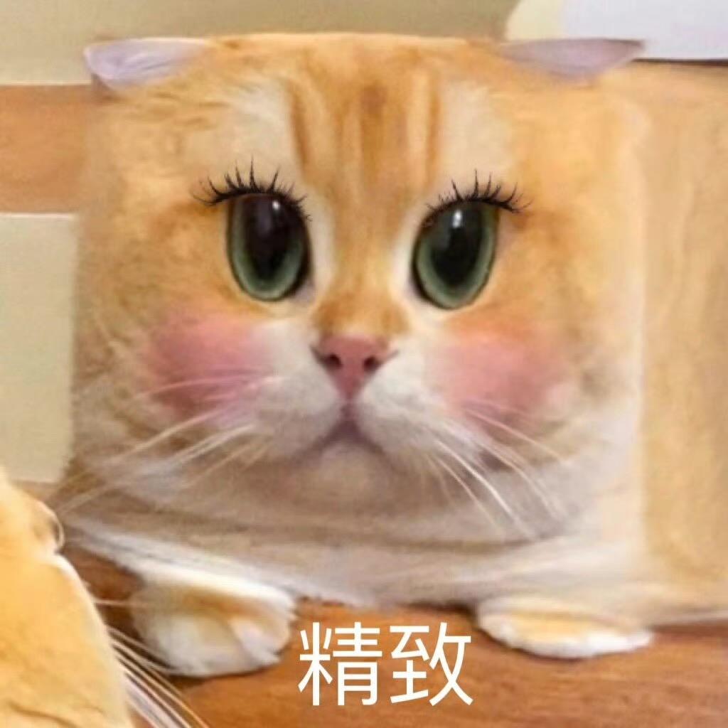 ermut 推荐好物