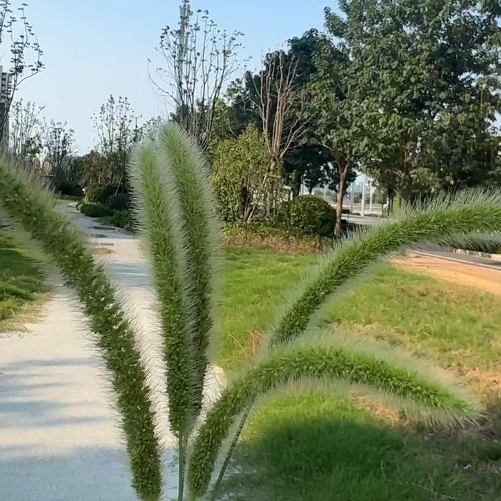 魅力
