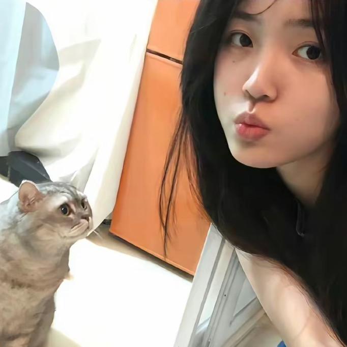疯狂养猫猫