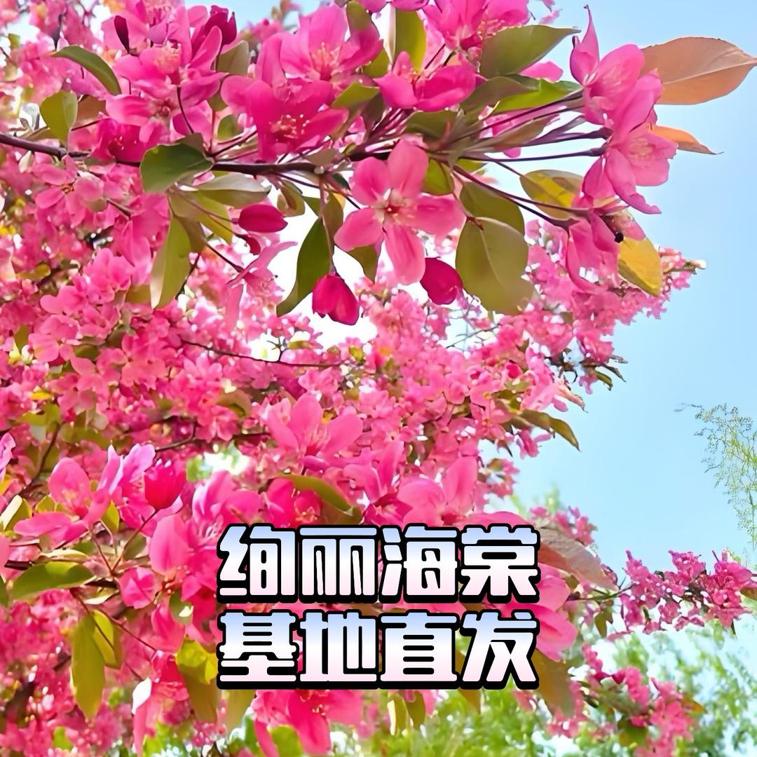 佳月园林
