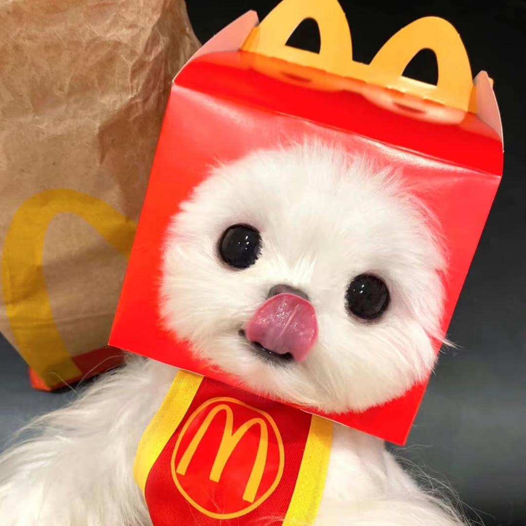 小麦当当🧸