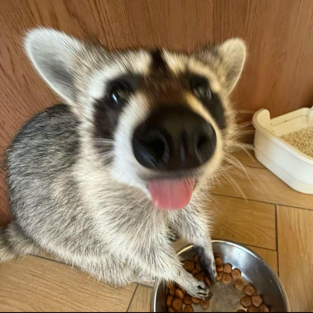八里臭