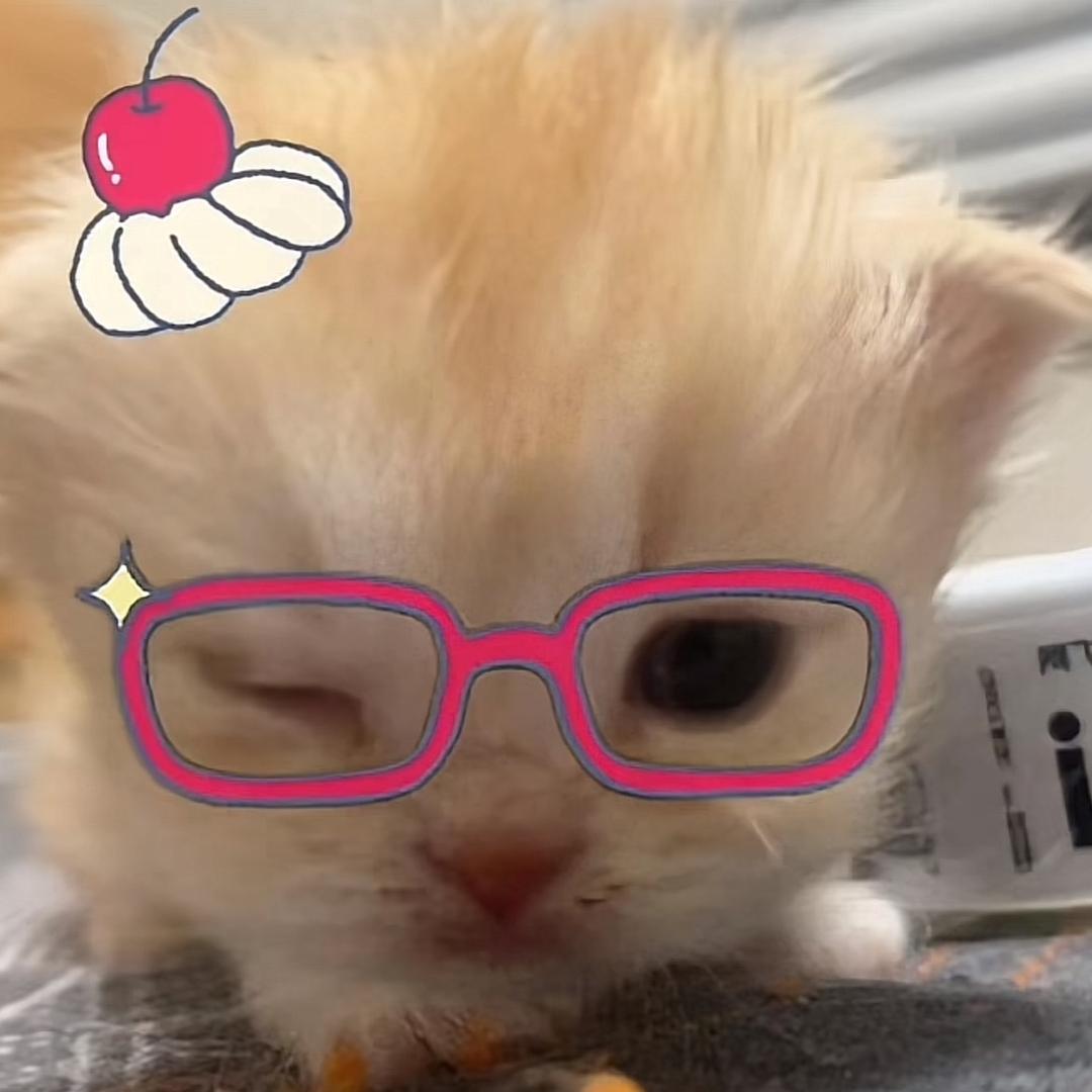 不要再剪刘海
