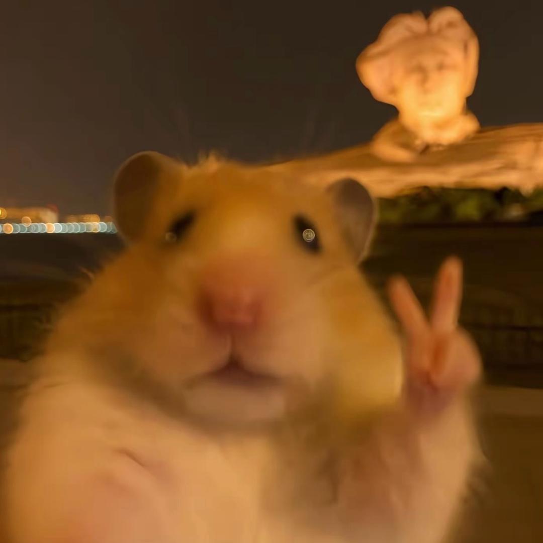 不花钱了