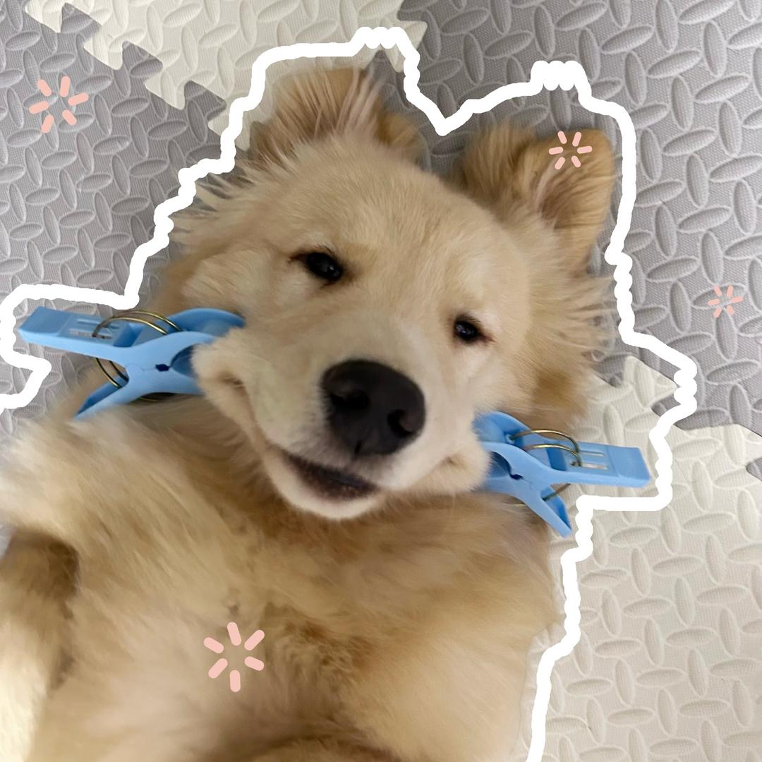 臭臭
