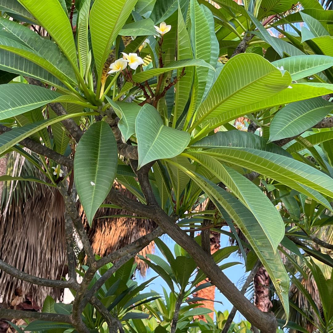 阳光者  早10:20 休息中