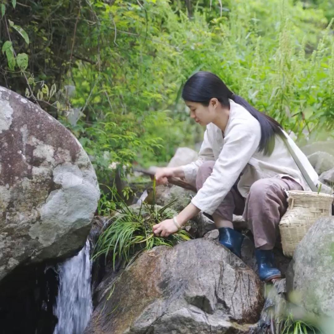 石斛姑娘【上山村】@抖音