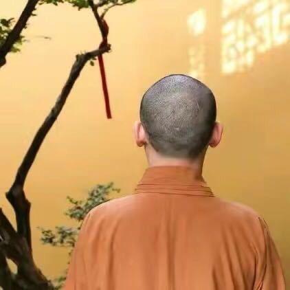 主持师父🙏(不要连续点赞)