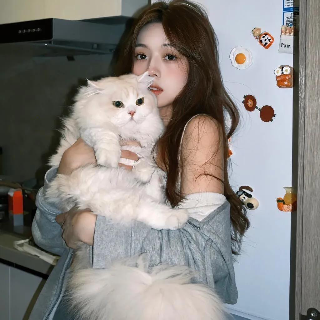 小羊不失眠-