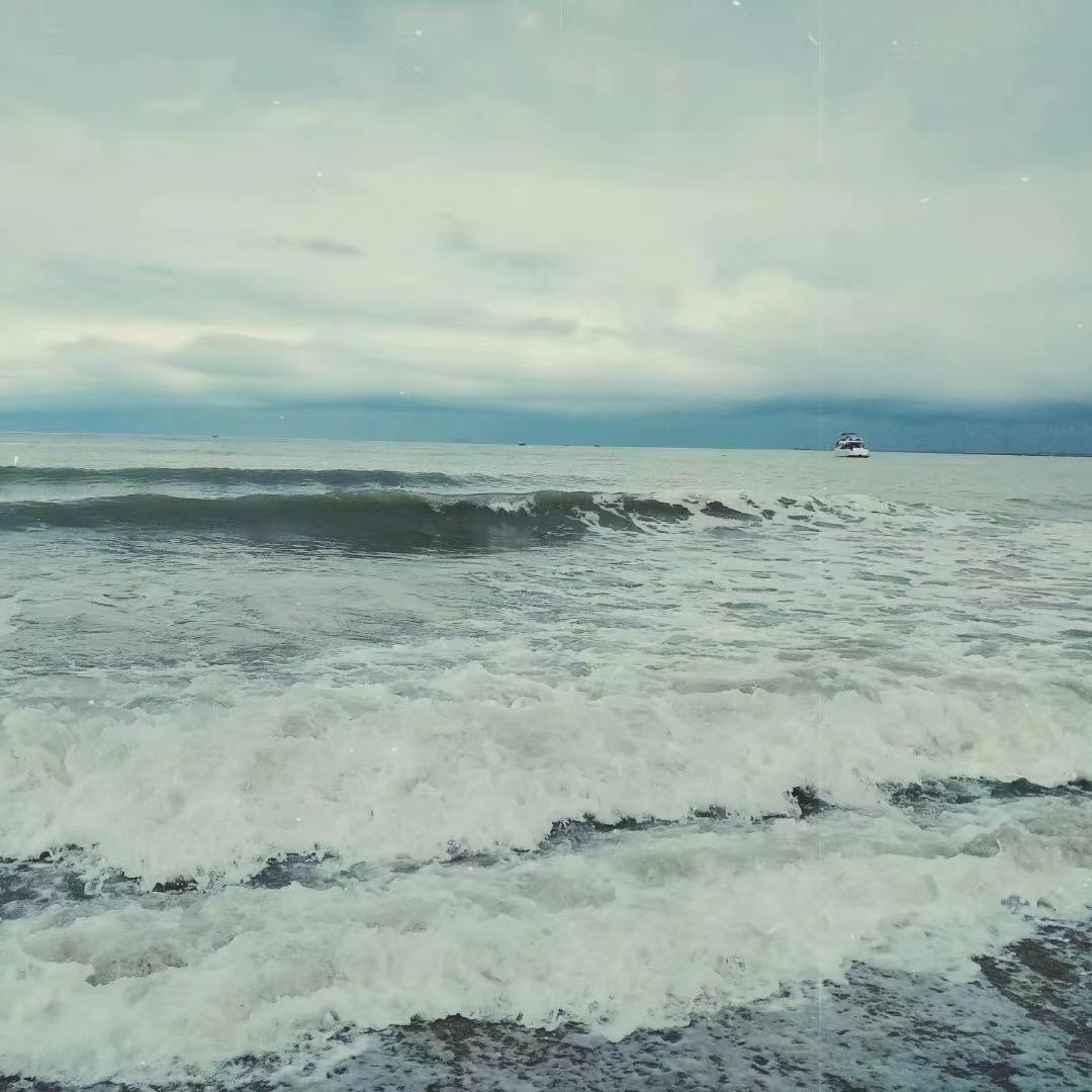 和瑞雲著-陈爽