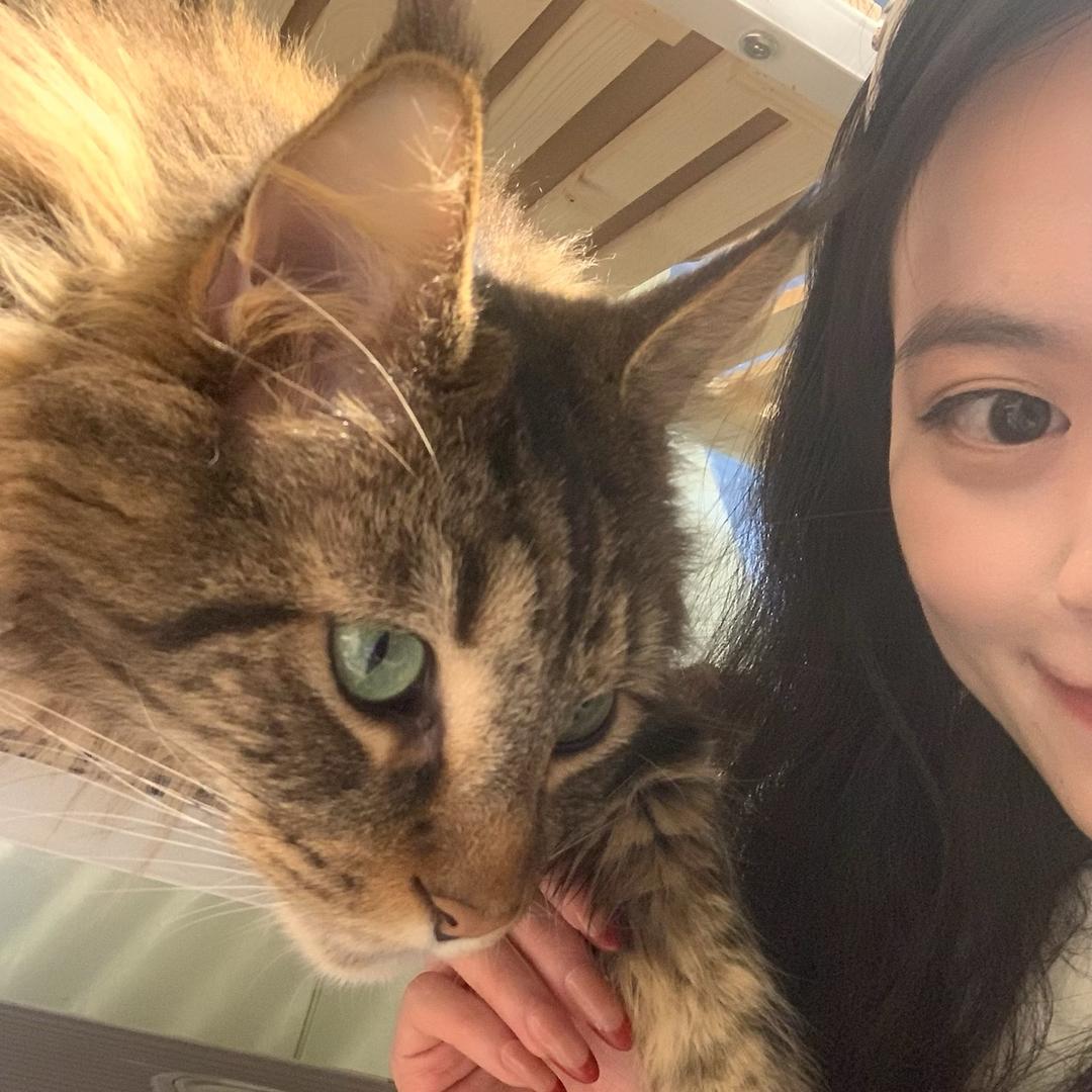 林林穿搭日记