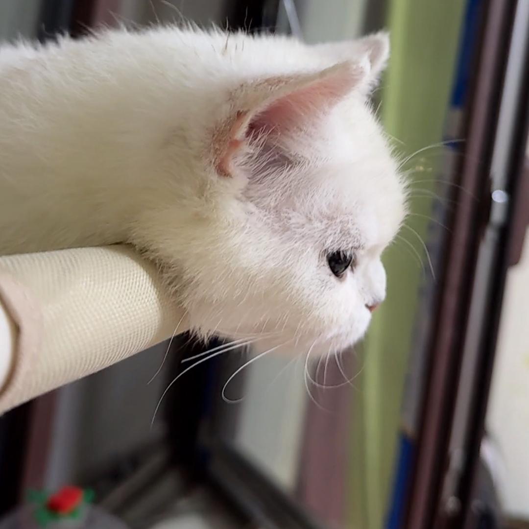 程