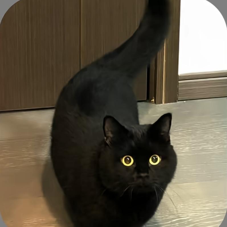 红猪