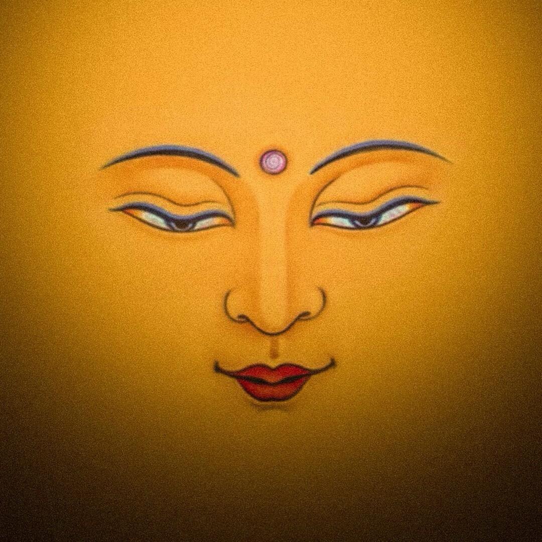 𝕊𝕙𝕒𝕟𝕘 ☀️