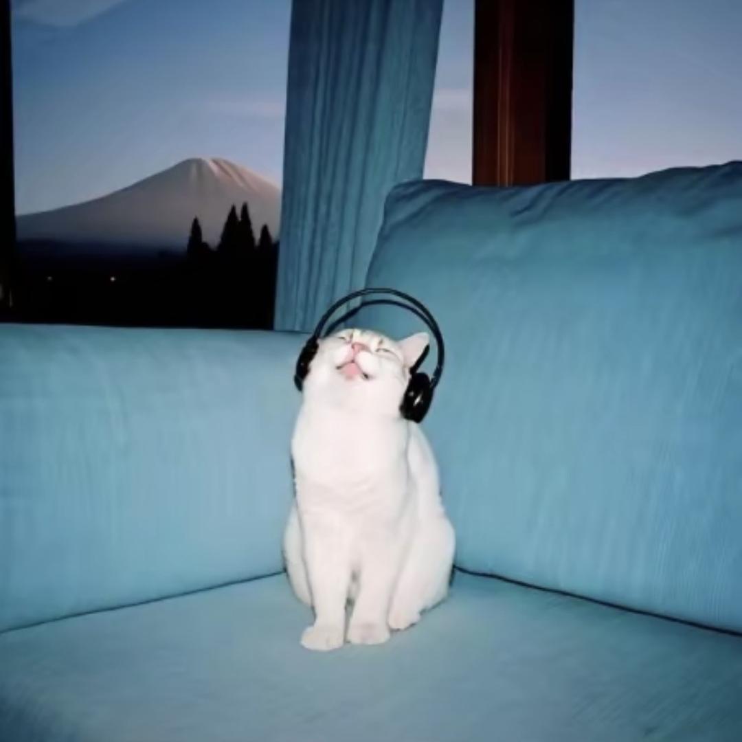 CJCJ_N