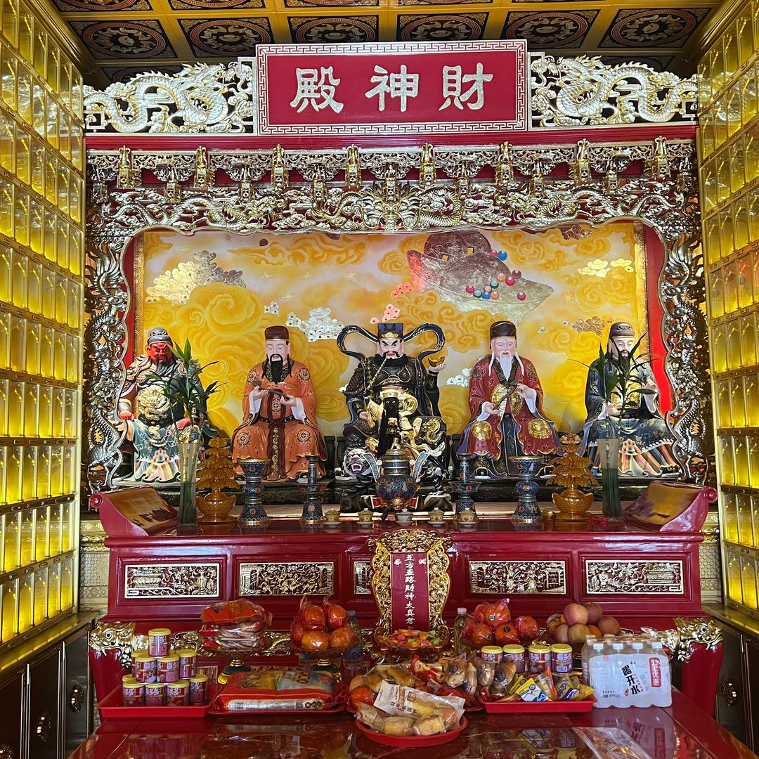 🐯小八爱吃肉