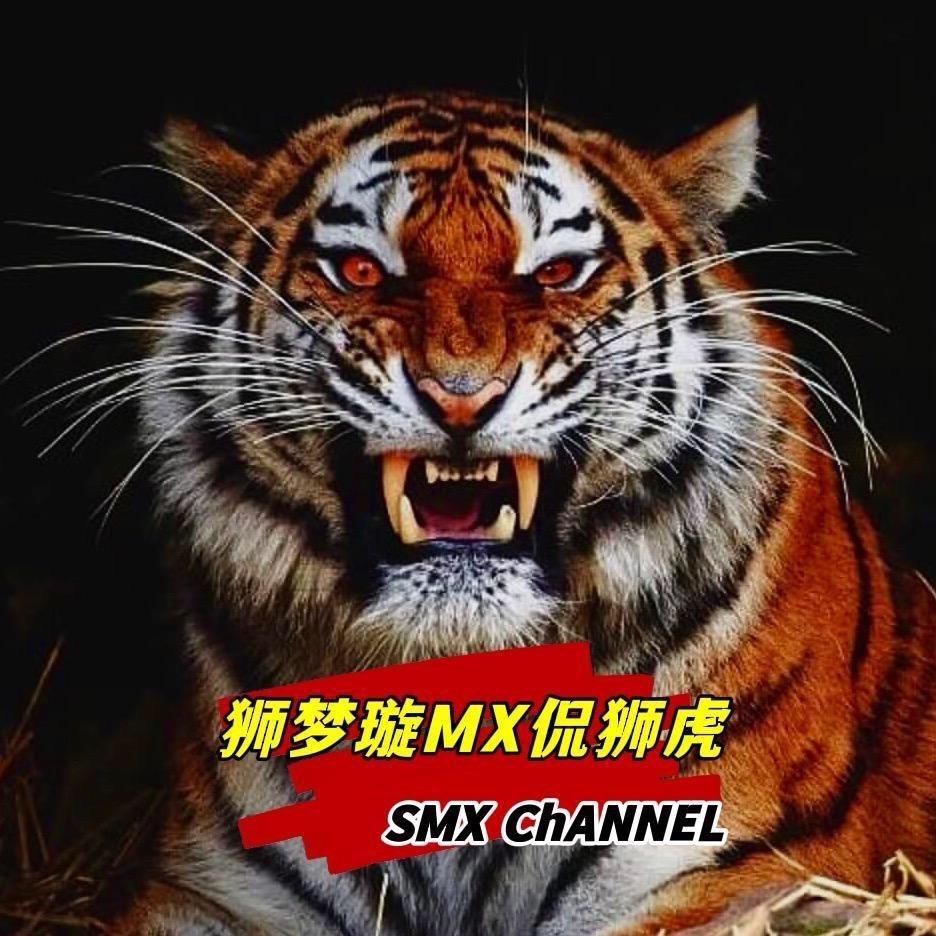 狮梦璇MX