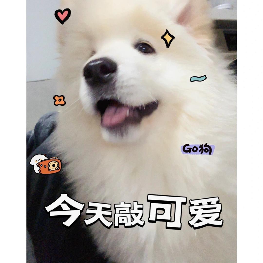 天冷了