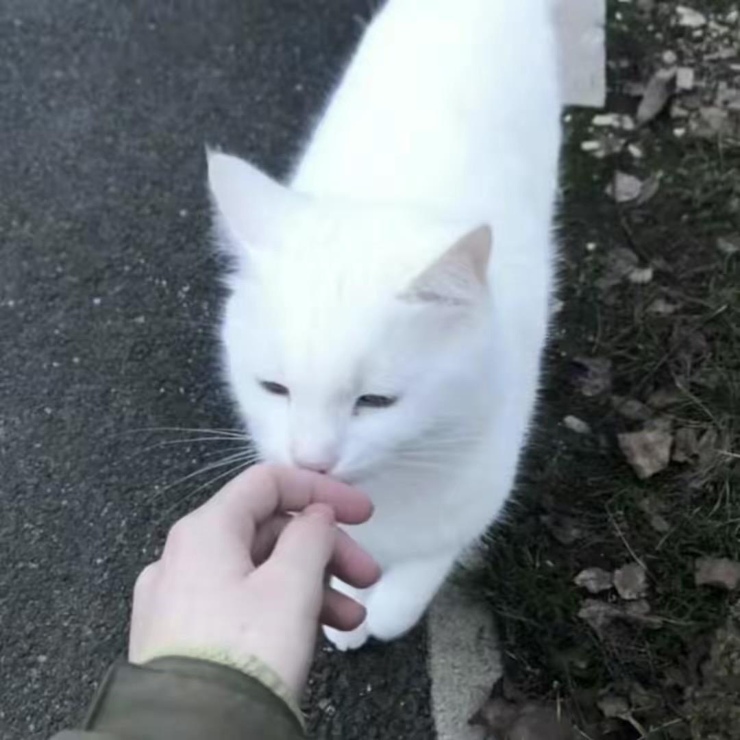 想我了吧
