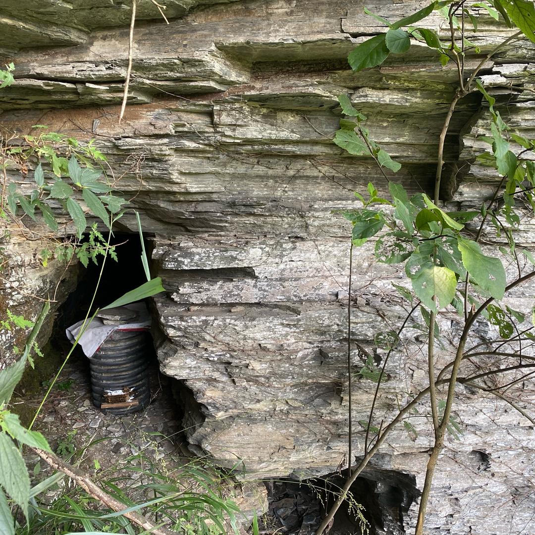 手机用户61268460537