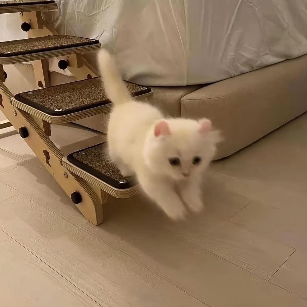 生耶