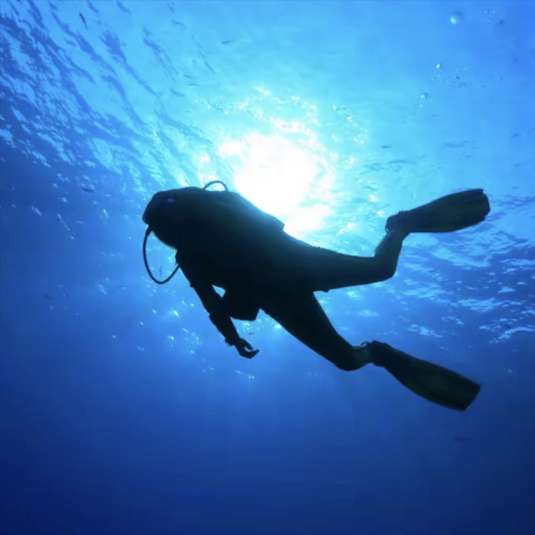 作废（小乐商行）