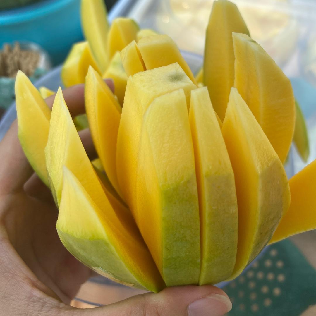 芒果花🥭