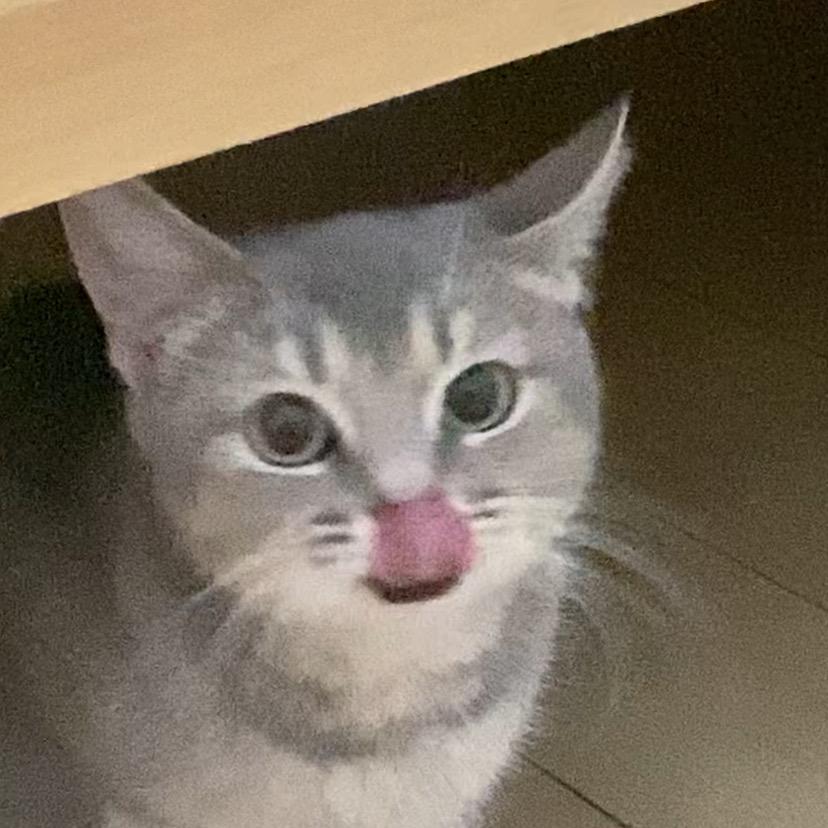 蜡笔薯饼