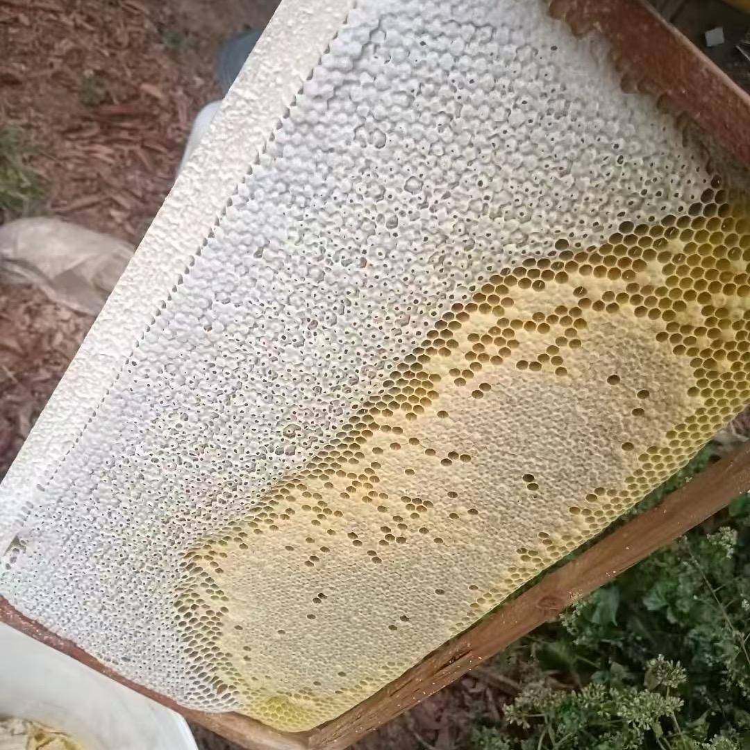 阳西蜂蜜坊