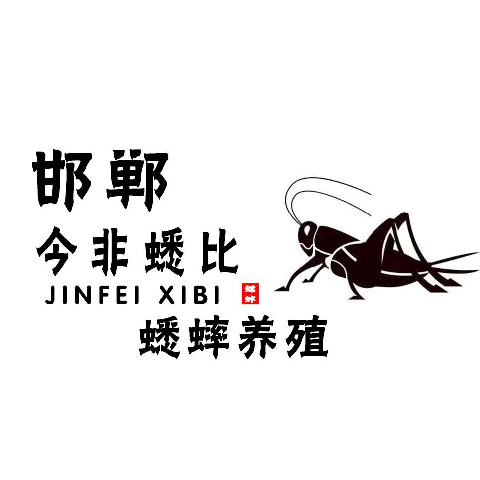 邯郸今非蟋比蟋蟀养殖