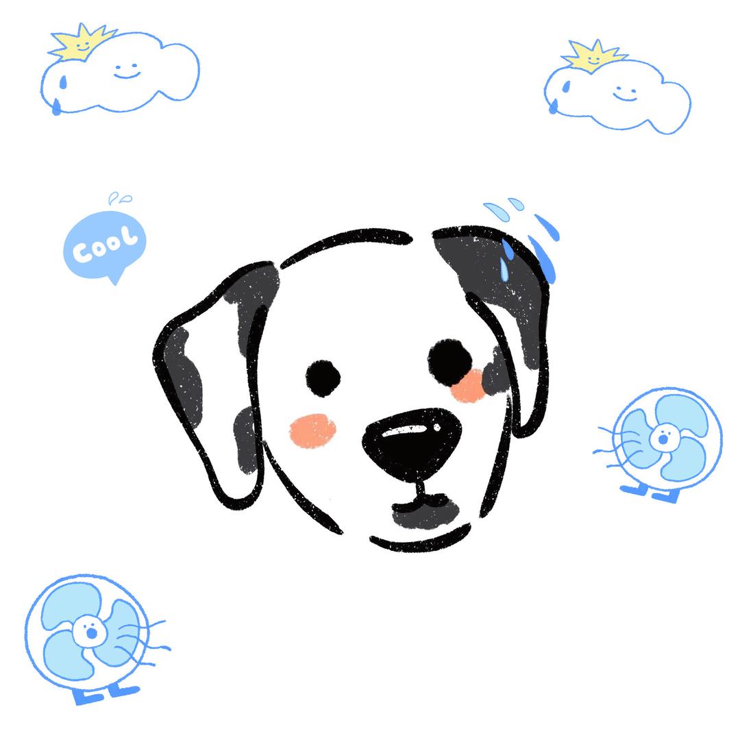 卤儿