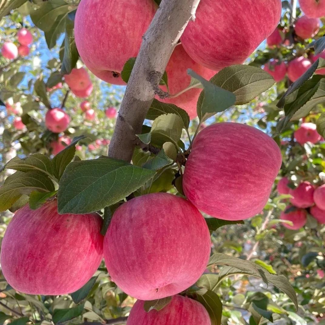 平陆乡源生活坊