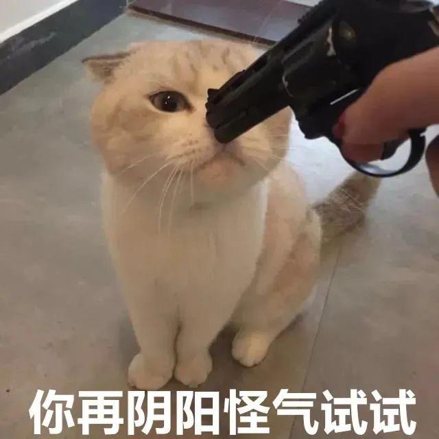 陈先生han林小姐