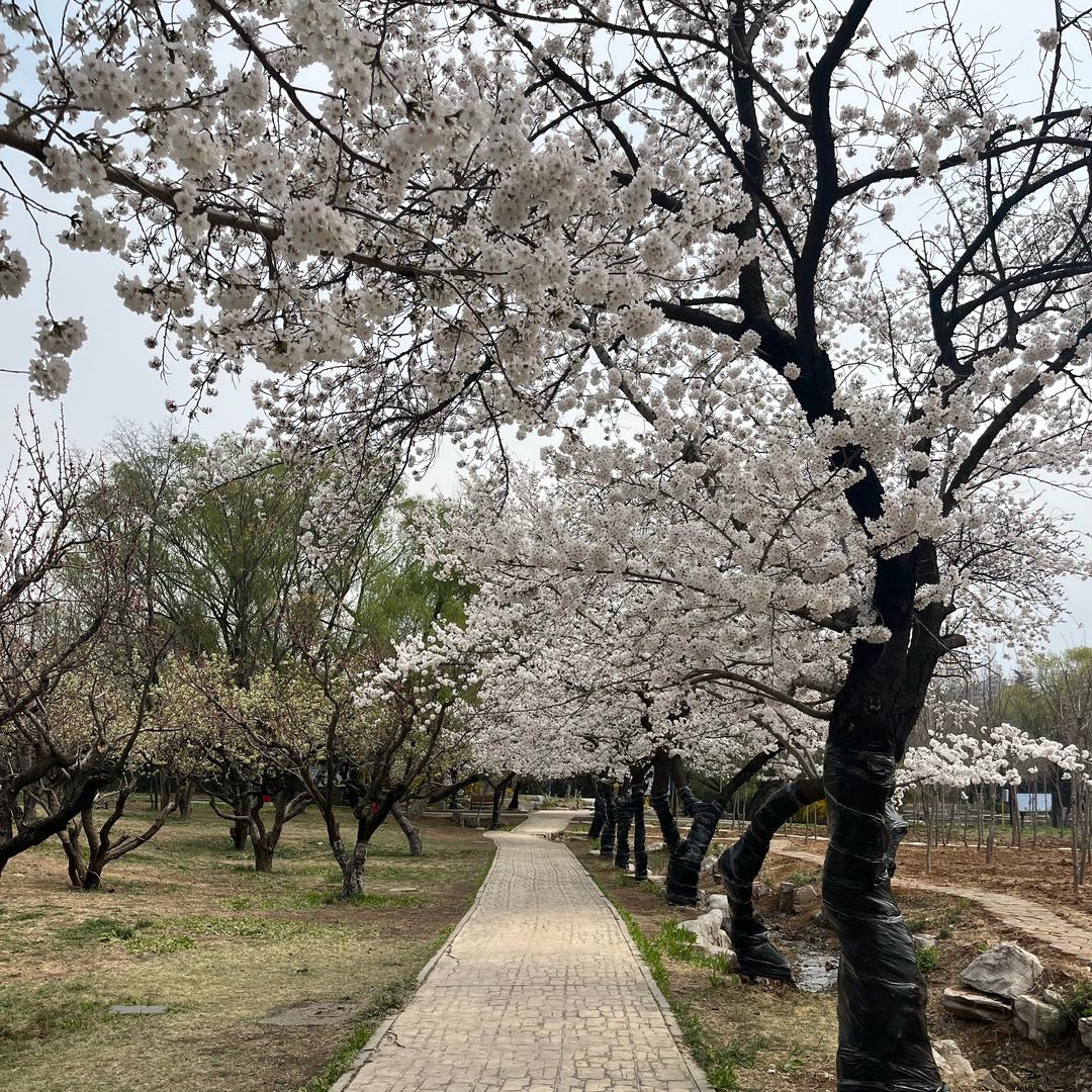 萍水相冯
