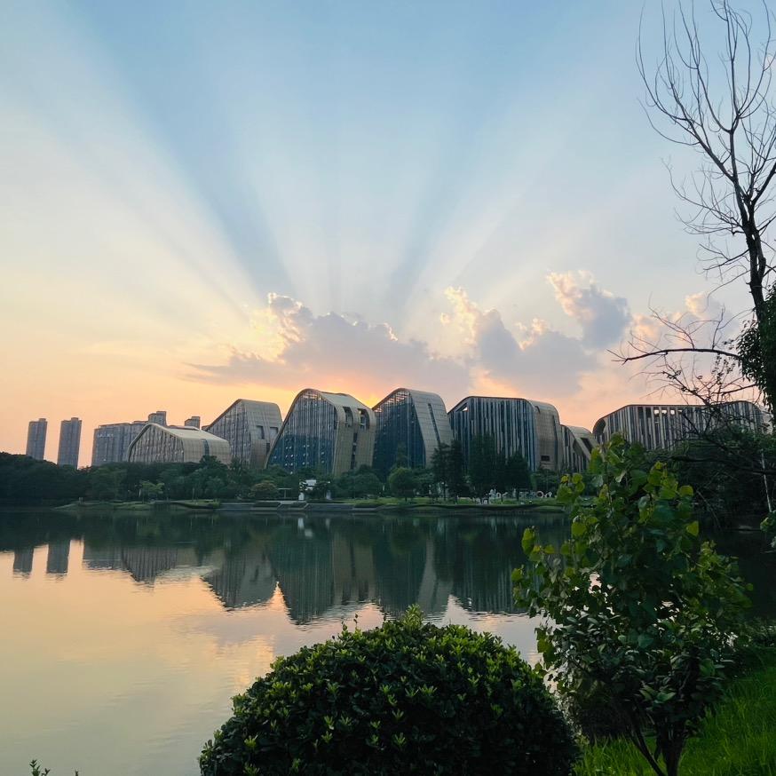 锦鲤🎏