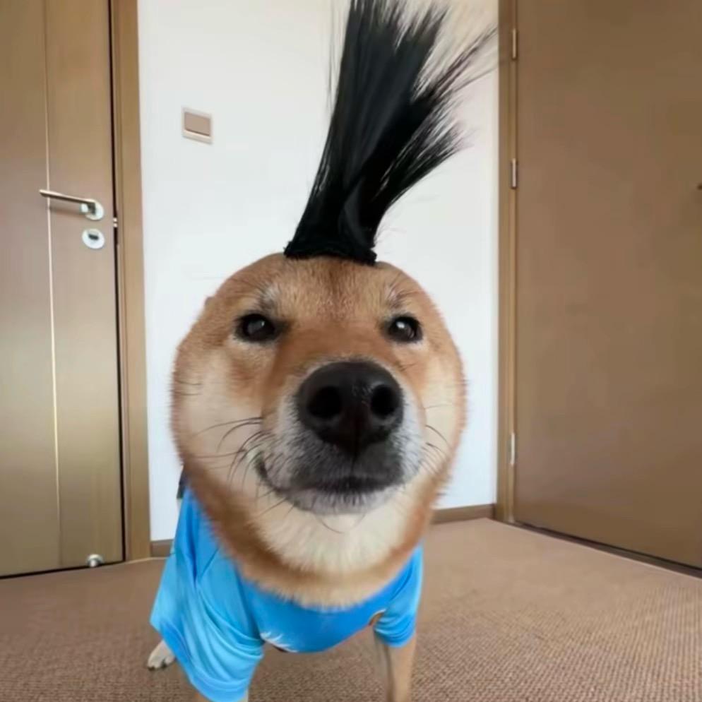 有花不完 钱先生