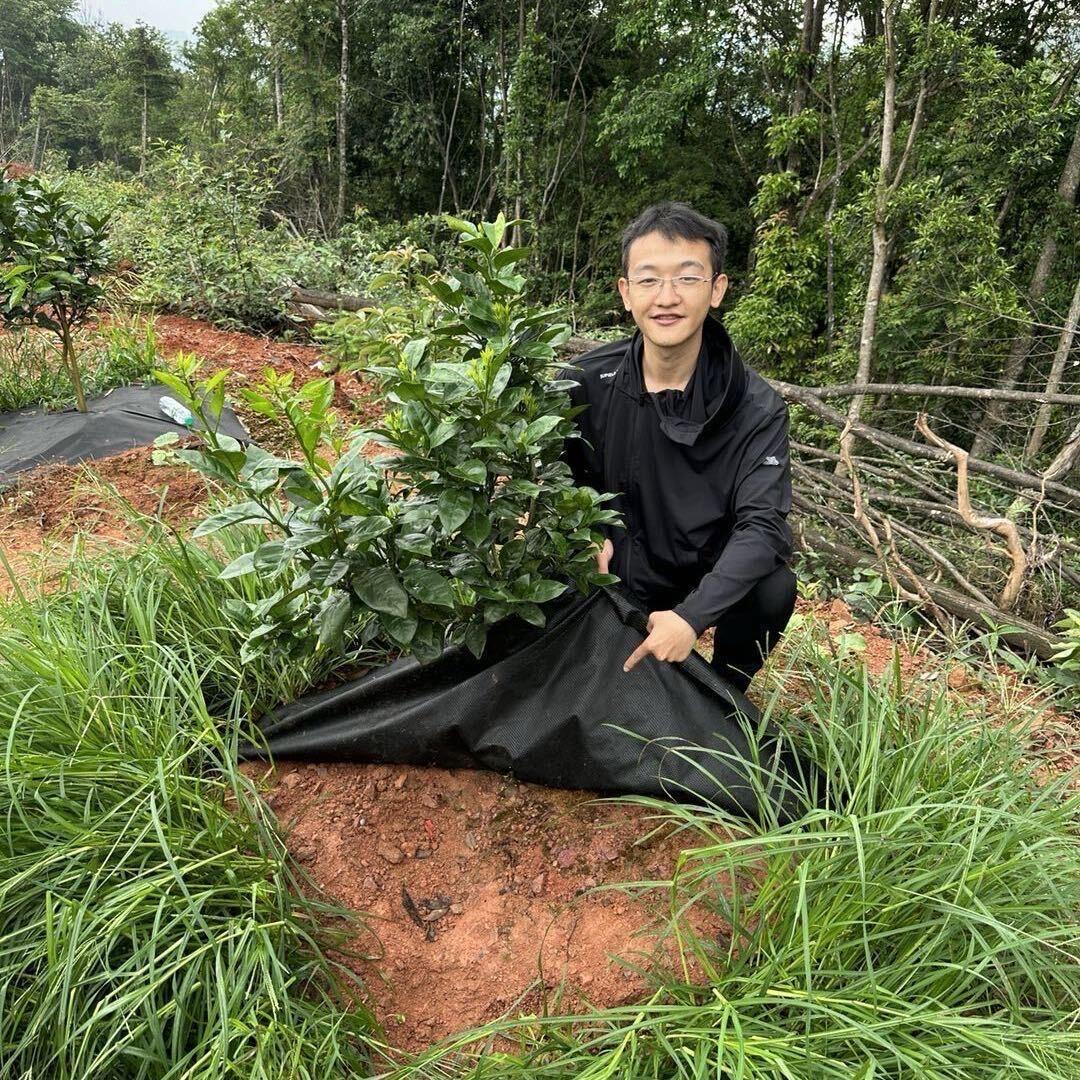 除草小帅（可降解农用防草布）