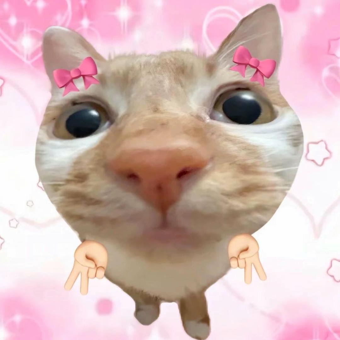 什么小猫酥饼🍪