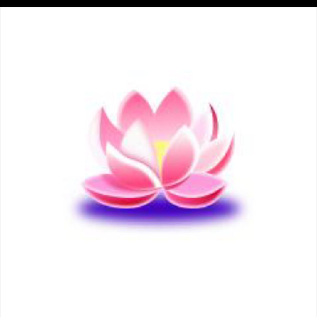 用户8869709786621