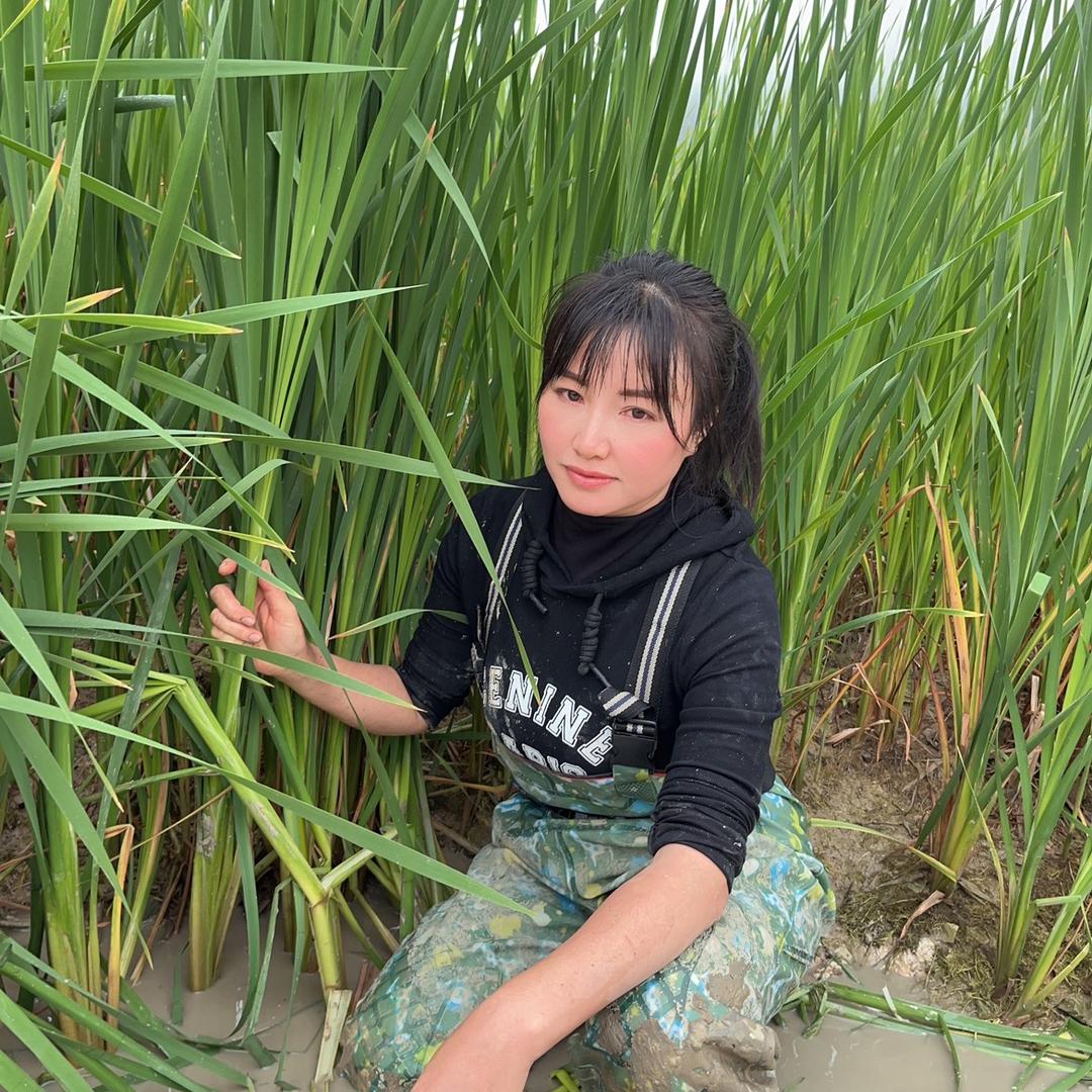 农村阿思