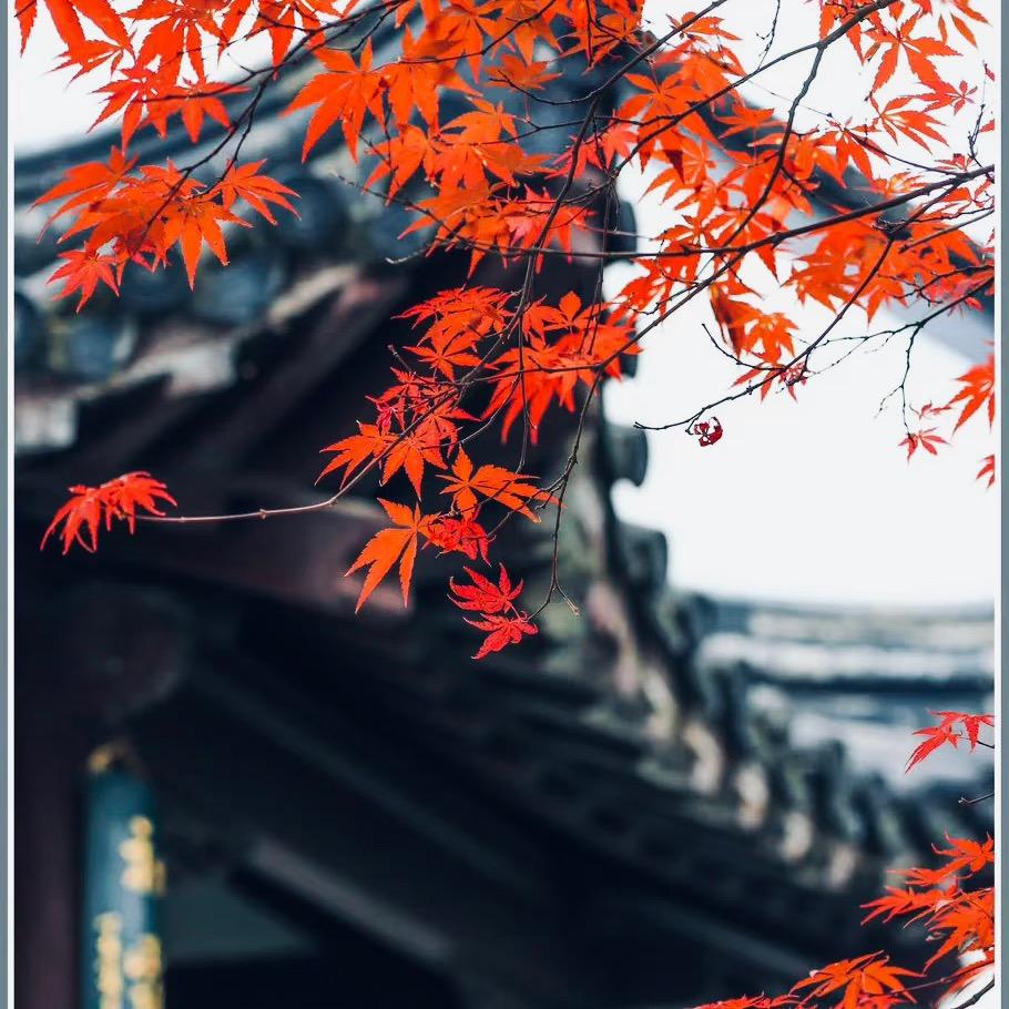 搬砖的王同学